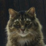 Profile Picture of Mario Cupolo (@5uper_m4rio) on Instagram