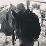 Profile Picture of candice oakes (@candice_oakes) on Instagram