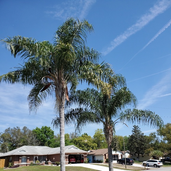 Profile Picture of Sherry Stauffer (@preacherswife2) on Poshmark