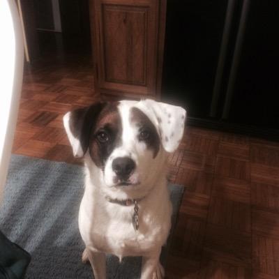 Profile Picture of Bob Breen (@Breenb) on Twitter