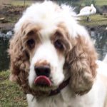 Profile Picture of Frank Harrington (@frankiepops_) on Instagram