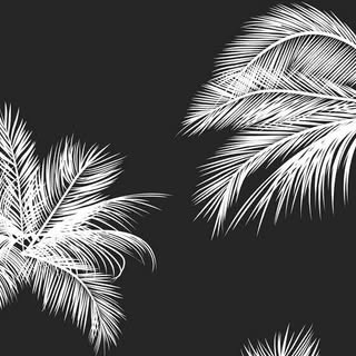 Profile Picture of James Prewett (@prewettjames) on Instagram