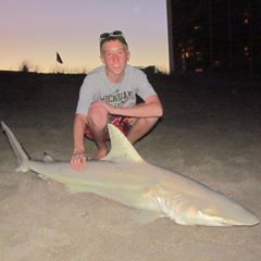 Profile Picture of Andrew Greenland (@andrewgreenland6) on Tiktok