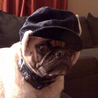 Profile Picture of Joseph Custer (@mrmrcstr) on Twitter
