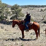 Profile Picture of David Heilbrun (@david.heilbrun.7) on Facebook