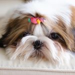 Profile Picture of Hope Coltrane Spams (@hope_coltrane_spams) on Instagram