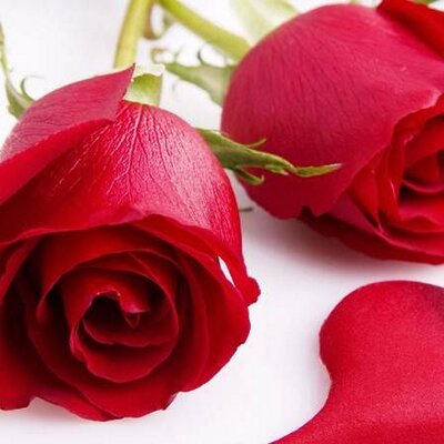 Profile Picture of Mrs.H (@idaadam3) on Twitter