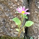 Profile Picture of Nancy Tolmacs (@nancytolmacs) on Instagram