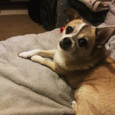 Profile Picture of Kevin Peeks (@kevin_peeks) on Twitter