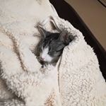 Profile Picture of Vicki Rudolph (@rudolphvicki1) on Instagram