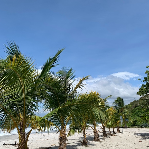 Profile Picture of Derick Gonzalez (@dericknpf) on Poshmark