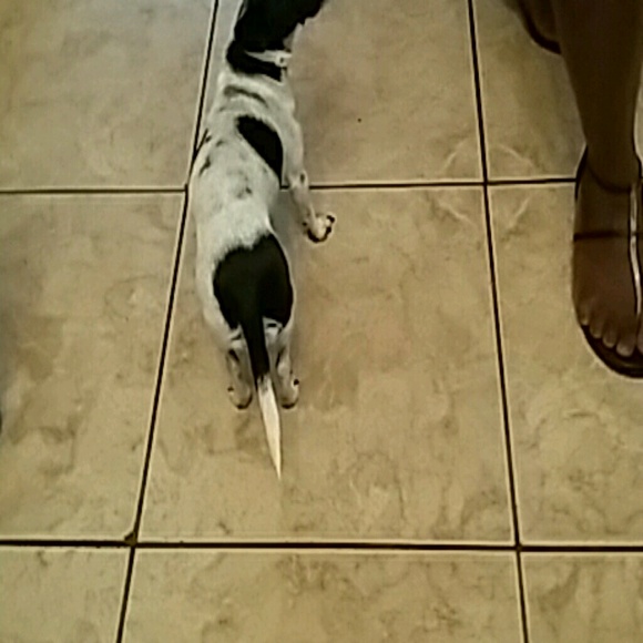 Profile Picture of Eddie Mccullum (@123pompano) on Poshmark