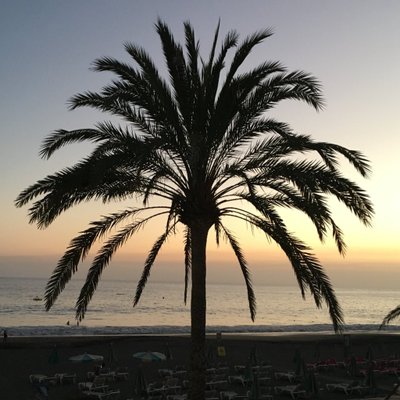 Profile Picture of Dorothee Schäfer (@ally00508) on Twitter