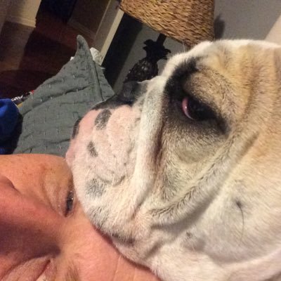 Profile Picture of Andrew Gilman (@AndrewGilmanOK) on Twitter