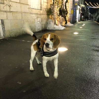 Profile Picture of Mitch Mart (@mitchmart2) on Twitter