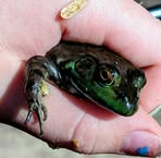 Profile Picture of Katelyn Felix (@katelyn.felix.2025) on Facebook