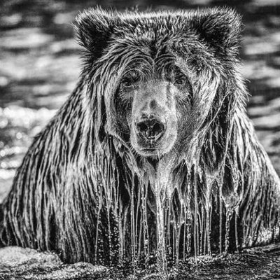 Profile Picture of Diego Rebollar (@DiegoRebollar_B) on Twitter