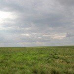 Profile Picture of Orick (@orickfalk2r) on Instagram