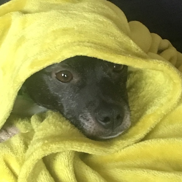 Profile Picture of Anne Leinweber (@annieleinz) on Poshmark