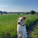 Heidi Grund - Facebook Profile Picture of Heidi Grund (@Heidi-Grund) on Facebook