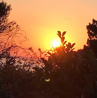 Profile Picture of David Crammer (@david.crammer.3) on Facebook