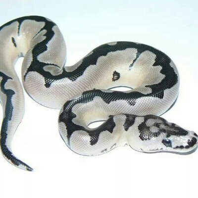 Profile Picture of John Stull (@jstull56) on Twitter