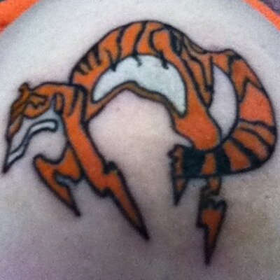 Joseph Orellano - Twitter Profile Picture of Joseph Orellano (@GreyTigerFox) on Twitter