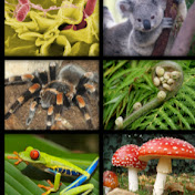 Profile Picture of Frantz Nelson (@frantznelson9435) on Youtube