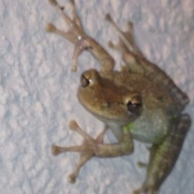 Profile Picture of Chris Colson (@MisterColson) on Twitter