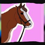 Profile Picture of A N N A  THÖRN (@anna_equestrianz) on Instagram