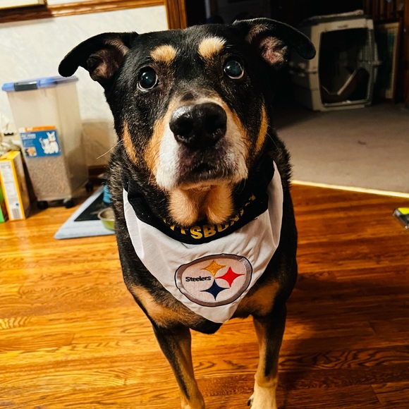 Profile Picture of Christopher Barrett (@chrisbarrett27) on Poshmark