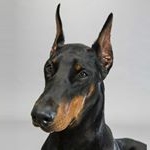 Profile Picture of Werner M. (@m._werner) on Instagram