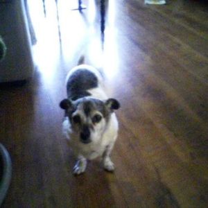 Profile Picture of Matt Britt (@whyaretheywatchingme) on Myspace