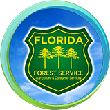 Profile Picture of FSWN John M. Bethea State Forest (@FSWNJohnMBethea) on Twitter