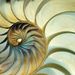Profile Picture of Jane Brody (@janey61) on Pinterest