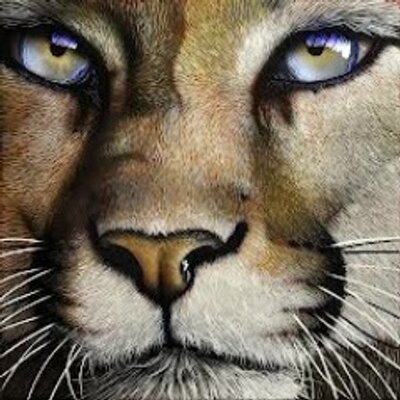 Profile Picture of Joe Hutson (@JoeHutson) on Twitter