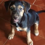 Profile Picture of Felix Sosa (@felix.sosa.466685) on Facebook