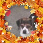 Profile Picture of Lisa Scuderi (@lisa.scuderi.984) on Facebook