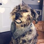 Profile Picture of Alexander Mcintyre (@alexander.mcintyre.982) on Instagram