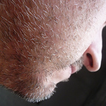 Profile Picture of Dominique Lebrun (@dom.lebrun) on Flickr