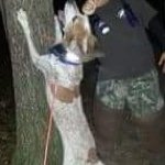 Profile Picture of Lee Grainger (@leegrainger22) on Instagram