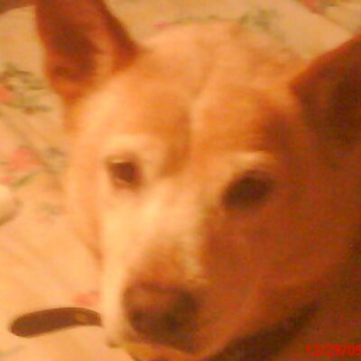Profile Picture of Kyle (@jakel13) on Twitter