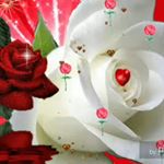 Profile Picture of Ravi chauhan (@ravichauhan7933) on Instagram