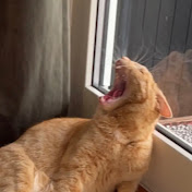 Profile Picture of Syke Saker (@sykesaker) on Youtube