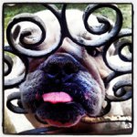 Profile Picture of Tracy Truax (@weaverhotvengeance) on Instagram