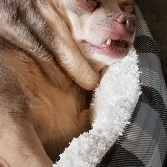 Profile Picture of Patti Duerrler (@pattiduerrler) on Poshmark