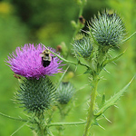 Profile Picture of Abyost@verizon.net (@abyost@verizon.net) on Flickr