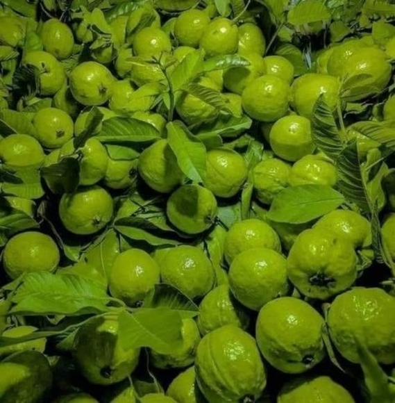 Profile Picture of Caren Carballo (@soto69120) on Poshmark