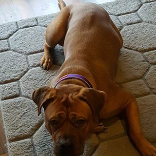 Profile Picture of John Cavanagh (@john.cavanagh.507) on Facebook