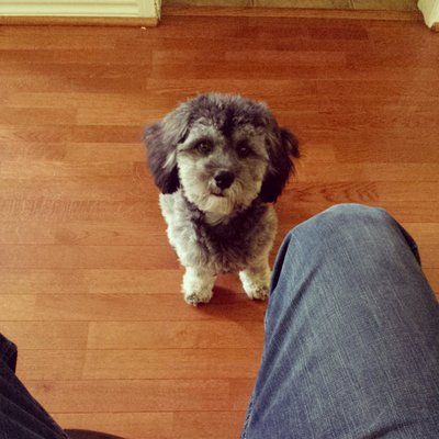 Profile Picture of Kevin Boone (@lolreallydude) on Twitter